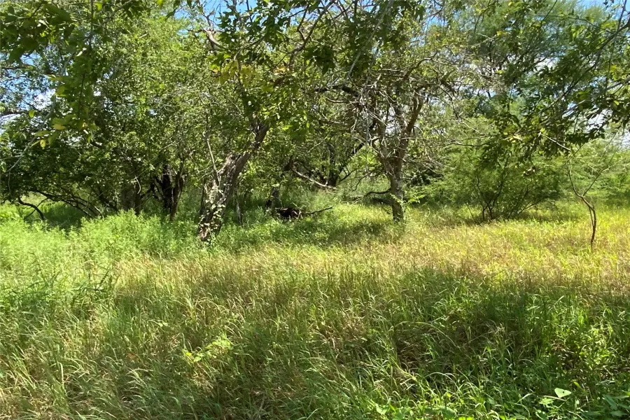 View of undeveloped land