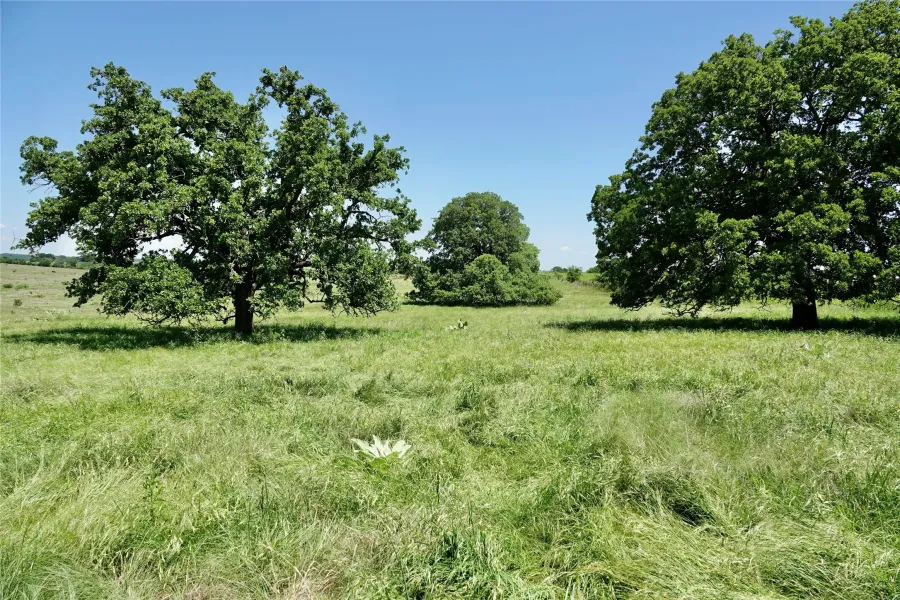 Homes for sale in Priddy - Mills - Texas USA | house for sale Priddy - Mills - Texas USA | Priddy - Mills - Texas USA Real estate services | New listings for sale Priddy - Mills - Texas USA | Land for sale in Priddy - Mills - Texas USA | Real Estate Agent in Priddy - Mills - Texas USA | Realtor in Priddy - Mills - Texas USA | Real estate agent in Priddy | What is My Home Value Priddy - Mills - Texas USA | Texas Real Estate Brokerage Independent Realty, Homes and Land in Texas by Luminita Cordes Realtor