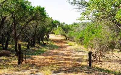 Homes for sale in Spicewood - Travis - Texas USA | house for sale Spicewood - Travis - Texas USA | Spicewood - Travis - Texas USA Real estate services | New listings for sale Spicewood - Travis - Texas USA | Land for sale in Spicewood - Travis - Texas USA | Real Estate Agent in Spicewood - Travis - Texas USA | Realtor in Spicewood - Travis - Texas USA | Real estate agent in Spicewood | What is My Home Value Spicewood - Travis - Texas USA | Texas Real Estate Brokerage Independent Realty, Homes and Land in Texas by Luminita Cordes Realtor