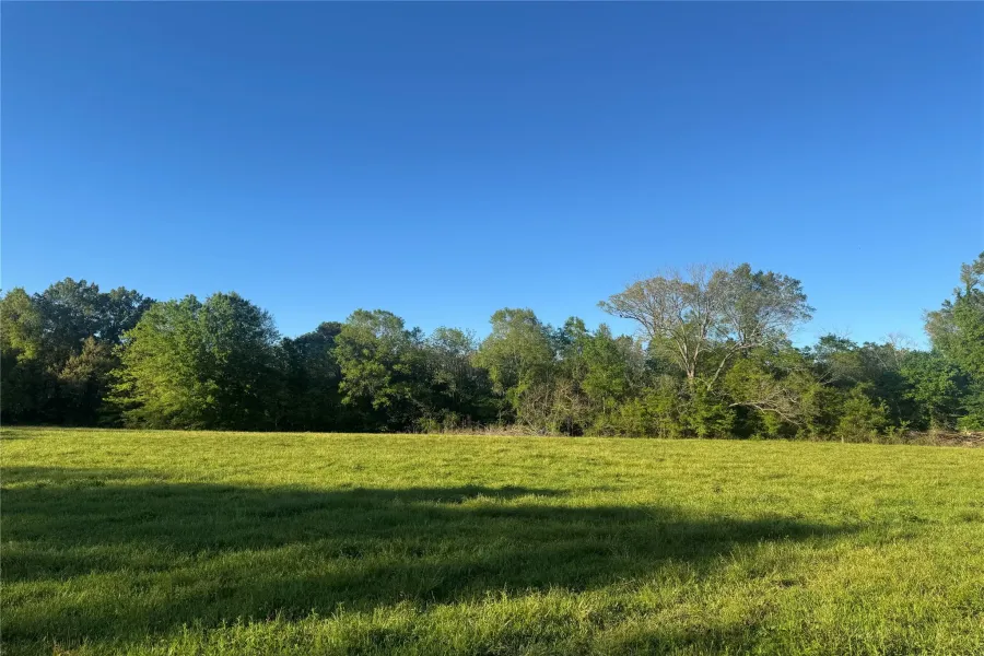 Homes for sale in Talco - Titus - Texas USA | house for sale Talco - Titus - Texas USA | Talco - Titus - Texas USA Real estate services | New listings for sale Talco - Titus - Texas USA | Land for sale in Talco - Titus - Texas USA | Real Estate Agent in Talco - Titus - Texas USA | Realtor in Talco - Titus - Texas USA | Real estate agent in Talco | What is My Home Value Talco - Titus - Texas USA | Texas Real Estate Brokerage Independent Realty, Homes and Land in Texas by Luminita Cordes Realtor