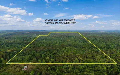 Homes for sale in Naples - Cass - Texas USA | house for sale Naples - Cass - Texas USA | Naples - Cass - Texas USA Real estate services | New listings for sale Naples - Cass - Texas USA | Land for sale in Naples - Cass - Texas USA | Real Estate Agent in Naples - Cass - Texas USA | Realtor in Naples - Cass - Texas USA | Real estate agent in Naples | What is My Home Value Naples - Cass - Texas USA | Texas Real Estate Brokerage Independent Realty, Homes and Land in Texas by Luminita Cordes Realtor