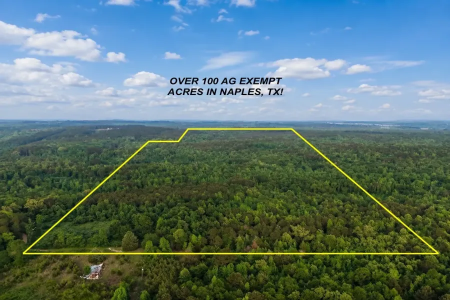 Homes for sale in Naples - Cass - Texas USA | house for sale Naples - Cass - Texas USA | Naples - Cass - Texas USA Real estate services | New listings for sale Naples - Cass - Texas USA | Land for sale in Naples - Cass - Texas USA | Real Estate Agent in Naples - Cass - Texas USA | Realtor in Naples - Cass - Texas USA | Real estate agent in Naples | What is My Home Value Naples - Cass - Texas USA | Texas Real Estate Brokerage Independent Realty, Homes and Land in Texas by Luminita Cordes Realtor
