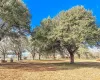 Homes for sale in Donie - Freestone - Texas USA | house for sale Donie - Freestone - Texas USA | Donie - Freestone - Texas USA Real estate services | New listings for sale Donie - Freestone - Texas USA | Land for sale in Donie - Freestone - Texas USA | Real Estate Agent in Donie - Freestone - Texas USA | Realtor in Donie - Freestone - Texas USA | Real estate agent in Donie | What is My Home Value Donie - Freestone - Texas USA | Texas Real Estate Brokerage Independent Realty, Homes and Land in Texas by Luminita Cordes Realtor