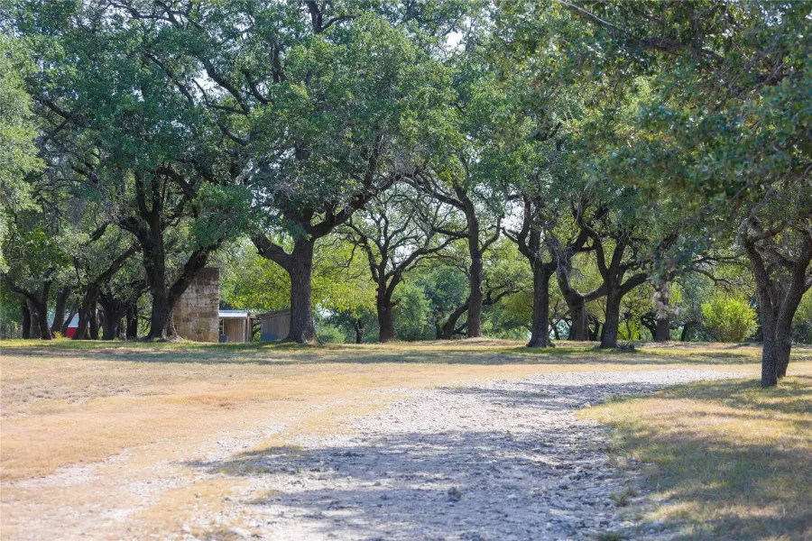 View of yard with view of scattered trees and an outbuilding