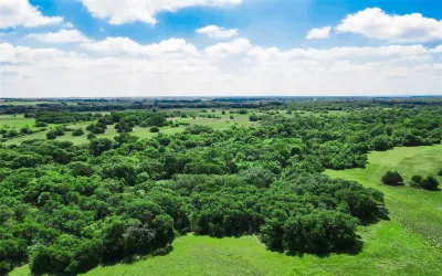 Homes for sale in Forestburg - Montague - Texas USA | house for sale Forestburg - Montague - Texas USA | Forestburg - Montague - Texas USA Real estate services | New listings for sale Forestburg - Montague - Texas USA | Land for sale in Forestburg - Montague - Texas USA | Real Estate Agent in Forestburg - Montague - Texas USA | Realtor in Forestburg - Montague - Texas USA | Real estate agent in Forestburg | What is My Home Value Forestburg - Montague - Texas USA | Texas Real Estate Brokerage Independent Realty, Homes and Land in Texas by Luminita Cordes Realtor
