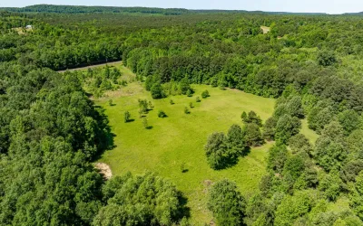 Homes for sale in Pittsburg - Upshur - Texas USA | house for sale Pittsburg - Upshur - Texas USA | Pittsburg - Upshur - Texas USA Real estate services | New listings for sale Pittsburg - Upshur - Texas USA | Land for sale in Pittsburg - Upshur - Texas USA | Real Estate Agent in Pittsburg - Upshur - Texas USA | Realtor in Pittsburg - Upshur - Texas USA | Real estate agent in Pittsburg | What is My Home Value Pittsburg - Upshur - Texas USA | Texas Real Estate Brokerage Independent Realty, Homes and Land in Texas by Luminita Cordes Realtor