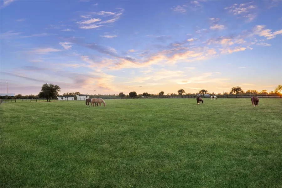 Grazing peacefully beneath a glowing evening sky, the horses are at home in this wide, open pasture. Fenced and level, the field is ideal for livestock or equestrian use. This tranquil setting also supports the property's wildlife exemption, blending functional land use with the natural beauty and serenity of everyday life on the ranch.