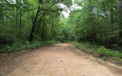 Homes for sale in Tenaha - Shelby - Texas USA | house for sale Tenaha - Shelby - Texas USA | Tenaha - Shelby - Texas USA Real estate services | New listings for sale Tenaha - Shelby - Texas USA | Land for sale in Tenaha - Shelby - Texas USA | Real Estate Agent in Tenaha - Shelby - Texas USA | Realtor in Tenaha - Shelby - Texas USA | Real estate agent in Tenaha | What is My Home Value Tenaha - Shelby - Texas USA | Texas Real Estate Brokerage Independent Realty, Homes and Land in Texas by Luminita Cordes Realtor