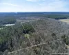 Expansive acreage with mixed tree cover