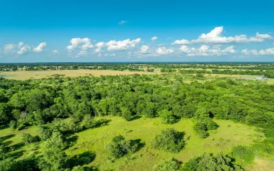 Homes for sale in Midway - Madison (TX) - Texas USA | house for sale Midway - Madison (TX) - Texas USA | Midway - Madison (TX) - Texas USA Real estate services | New listings for sale Midway - Madison (TX) - Texas USA | Land for sale in Midway - Madison (TX) - Texas USA | Real Estate Agent in Midway - Madison (TX) - Texas USA | Realtor in Midway - Madison (TX) - Texas USA | Real estate agent in Midway | What is My Home Value Midway - Madison (TX) - Texas USA | Texas Real Estate Brokerage Independent Realty, Homes and Land in Texas by Luminita Cordes Realtor
