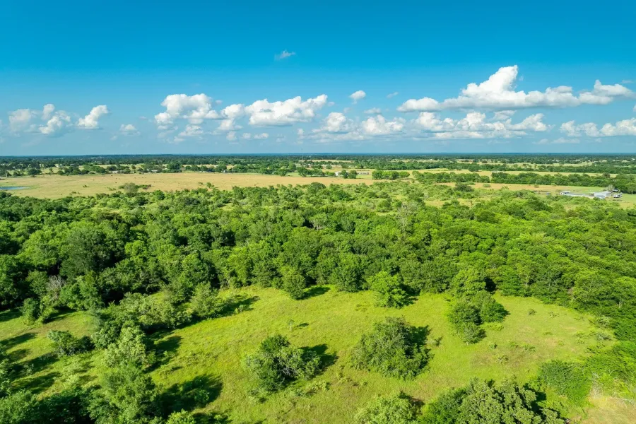 Homes for sale in Midway - Madison (TX) - Texas USA | house for sale Midway - Madison (TX) - Texas USA | Midway - Madison (TX) - Texas USA Real estate services | New listings for sale Midway - Madison (TX) - Texas USA | Land for sale in Midway - Madison (TX) - Texas USA | Real Estate Agent in Midway - Madison (TX) - Texas USA | Realtor in Midway - Madison (TX) - Texas USA | Real estate agent in Midway | What is My Home Value Midway - Madison (TX) - Texas USA | Texas Real Estate Brokerage Independent Realty, Homes and Land in Texas by Luminita Cordes Realtor