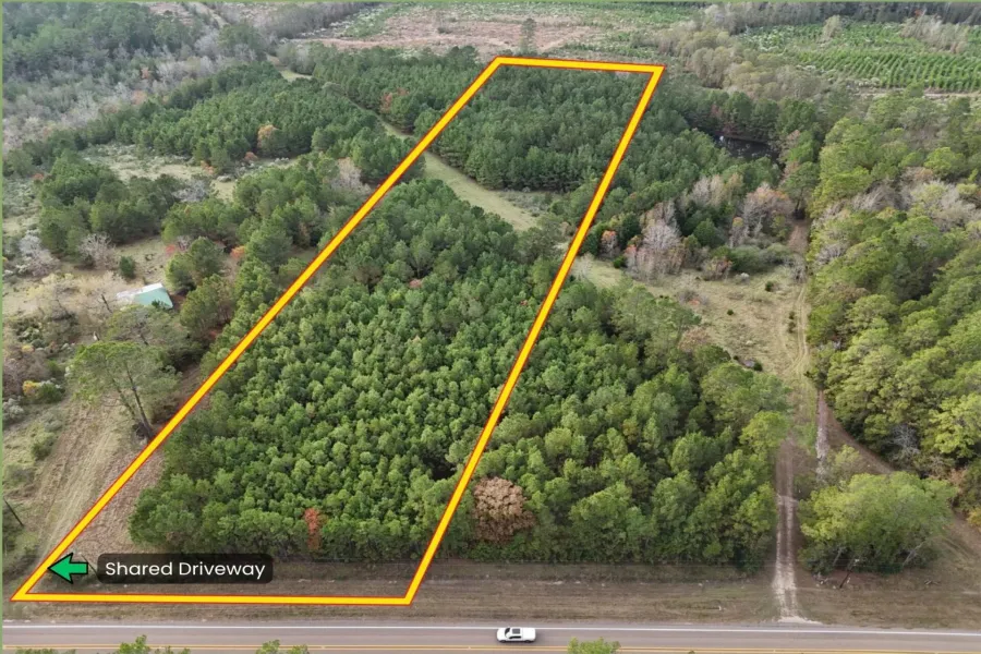 Homes for sale in Corrigan - Polk - Texas USA | house for sale Corrigan - Polk - Texas USA | Corrigan - Polk - Texas USA Real estate services | New listings for sale Corrigan - Polk - Texas USA | Land for sale in Corrigan - Polk - Texas USA | Real Estate Agent in Corrigan - Polk - Texas USA | Realtor in Corrigan - Polk - Texas USA | Real estate agent in Corrigan | What is My Home Value Corrigan - Polk - Texas USA | Texas Real Estate Brokerage Independent Realty, Homes and Land in Texas by Luminita Cordes Realtor