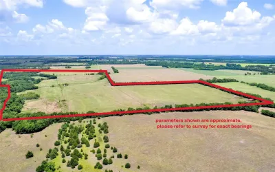 Unimproved Land For Sale in Fannin County , TBD CR 3735, Wolfe City, Texas 75496, 0, 0, Garage spaces, 0 Sqft, built in 0, Price $950,000, mls#21283470, Real Estate Agent in Wolfe City, Homes For Sale in Fannin county, Homes For Sale in Wolfe City, Realtor in Wolfe City Texas, Real Estate Brokerage Independent Realty Texas, Luminita Cordes Realtor