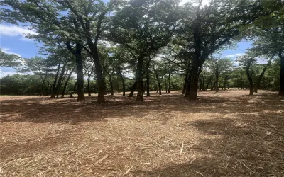 Unimproved Land For Sale in Fannin County , 0 County Rd 2980, Windom, Texas 75492, 0, 0, Garage spaces, 0 Sqft, built in 0, Price $199,000, mls#21283218, Real Estate Agent in Windom, Homes For Sale in Fannin county, Homes For Sale in Windom, Realtor in Windom Texas, Real Estate Brokerage Independent Realty Texas, Luminita Cordes Realtor