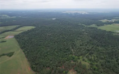 Unimproved Land For Sale in Rusk County , TBD County Road 461, Laneville, Texas 75667, 0, 0, Garage spaces, 0 Sqft, built in 0, Price $497,025, mls#21284962, Real Estate Agent in Laneville, Homes For Sale in Rusk county, Homes For Sale in Laneville, Realtor in Laneville Texas, Real Estate Brokerage Independent Realty Texas, Luminita Cordes Realtor