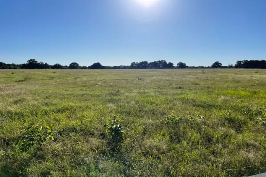 Homes for sale in Sulphur Bluff - Hopkins - Texas USA | house for sale Sulphur Bluff - Hopkins - Texas USA | Sulphur Bluff - Hopkins - Texas USA Real estate services | New listings for sale Sulphur Bluff - Hopkins - Texas USA | Land for sale in Sulphur Bluff - Hopkins - Texas USA | Real Estate Agent in Sulphur Bluff - Hopkins - Texas USA | Realtor in Sulphur Bluff - Hopkins - Texas USA | Real estate agent in Sulphur Bluff | What is My Home Value Sulphur Bluff - Hopkins - Texas USA | Texas Real Estate Brokerage Independent Realty, Homes and Land in Texas by Luminita Cordes Realtor