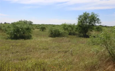 Unimproved Land For Sale in Eastland County , 807 County Road 215, Rising Star, Texas 76471, 0, 0, Garage spaces, 0 Sqft, built in 0, Price $325,000, mls#21286389, Real Estate Agent in Rising Star, Homes For Sale in Eastland county, Homes For Sale in Rising Star, Realtor in Rising Star Texas, Real Estate Brokerage Independent Realty Texas, Luminita Cordes Realtor
