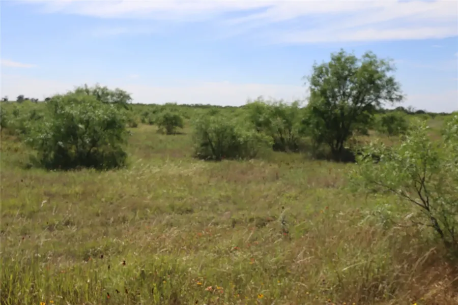Unimproved Land For Sale in Eastland County , 807 County Road 215, Rising Star, Texas 76471, 0, 0, Garage spaces, 0 Sqft, built in 0, Price $325,000, mls#21286389, Real Estate Agent in Rising Star, Homes For Sale in Eastland county, Homes For Sale in Rising Star, Realtor in Rising Star Texas, Real Estate Brokerage Independent Realty Texas, Luminita Cordes Realtor