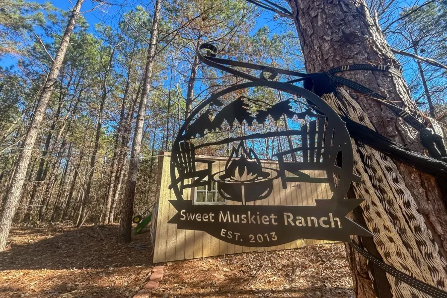Homes for sale in Colmesneil - Tyler - Texas USA | house for sale Colmesneil - Tyler - Texas USA | Colmesneil - Tyler - Texas USA Real estate services | New listings for sale Colmesneil - Tyler - Texas USA | Land for sale in Colmesneil - Tyler - Texas USA | Real Estate Agent in Colmesneil - Tyler - Texas USA | Realtor in Colmesneil - Tyler - Texas USA | Real estate agent in Colmesneil | What is My Home Value Colmesneil - Tyler - Texas USA | Texas Real Estate Brokerage Independent Realty, Homes and Land in Texas by Luminita Cordes Realtor