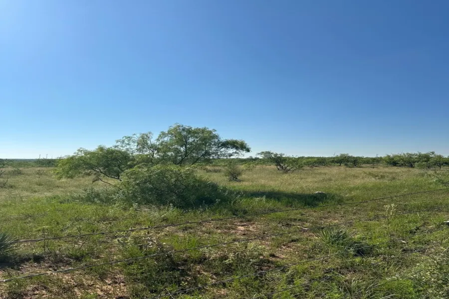 Homes for sale in Abilene - Shackelford - Texas USA | house for sale Abilene - Shackelford - Texas USA | Abilene - Shackelford - Texas USA Real estate services | New listings for sale Abilene - Shackelford - Texas USA | Land for sale in Abilene - Shackelford - Texas USA | Real Estate Agent in Abilene - Shackelford - Texas USA | Realtor in Abilene - Shackelford - Texas USA | Real estate agent in Abilene | What is My Home Value Abilene - Shackelford - Texas USA | Texas Real Estate Brokerage Independent Realty, Homes and Land in Texas by Luminita Cordes Realtor