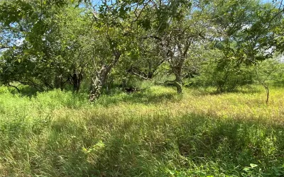 Homes for sale in Sinton - San Patricio - Texas USA | house for sale Sinton - San Patricio - Texas USA | Sinton - San Patricio - Texas USA Real estate services | New listings for sale Sinton - San Patricio - Texas USA | Land for sale in Sinton - San Patricio - Texas USA | Real Estate Agent in Sinton - San Patricio - Texas USA | Realtor in Sinton - San Patricio - Texas USA | Real estate agent in Sinton | What is My Home Value Sinton - San Patricio - Texas USA | Texas Real Estate Brokerage Independent Realty, Homes and Land in Texas by Luminita Cordes Realtor