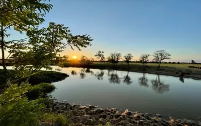 Homes for sale in Gause - Milam - Texas USA | house for sale Gause - Milam - Texas USA | Gause - Milam - Texas USA Real estate services | New listings for sale Gause - Milam - Texas USA | Land for sale in Gause - Milam - Texas USA | Real Estate Agent in Gause - Milam - Texas USA | Realtor in Gause - Milam - Texas USA | Real estate agent in Gause | What is My Home Value Gause - Milam - Texas USA | Texas Real Estate Brokerage Independent Realty, Homes and Land in Texas by Luminita Cordes Realtor