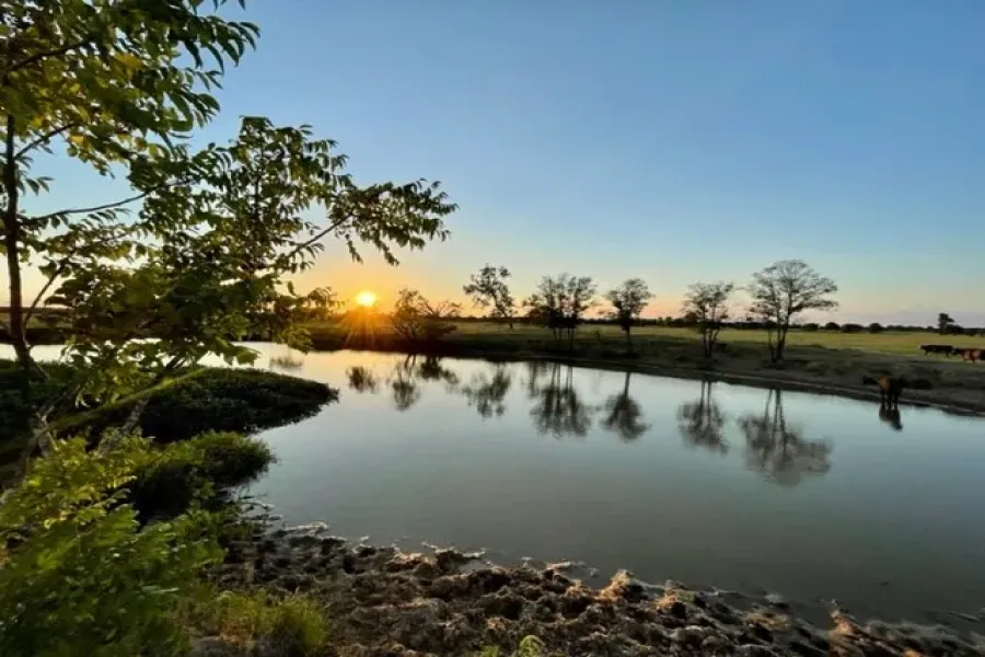 Homes for sale in Gause - Milam - Texas USA | house for sale Gause - Milam - Texas USA | Gause - Milam - Texas USA Real estate services | New listings for sale Gause - Milam - Texas USA | Land for sale in Gause - Milam - Texas USA | Real Estate Agent in Gause - Milam - Texas USA | Realtor in Gause - Milam - Texas USA | Real estate agent in Gause | What is My Home Value Gause - Milam - Texas USA | Texas Real Estate Brokerage Independent Realty, Homes and Land in Texas by Luminita Cordes Realtor