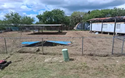 Homes for sale in Rio Hondo - Cameron (TX) - Texas USA | house for sale Rio Hondo - Cameron (TX) - Texas USA | Rio Hondo - Cameron (TX) - Texas USA Real estate services | New listings for sale Rio Hondo - Cameron (TX) - Texas USA | Land for sale in Rio Hondo - Cameron (TX) - Texas USA | Real Estate Agent in Rio Hondo - Cameron (TX) - Texas USA | Realtor in Rio Hondo - Cameron (TX) - Texas USA | Real estate agent in Rio Hondo | What is My Home Value Rio Hondo - Cameron (TX) - Texas USA | Texas Real Estate Brokerage Independent Realty, Homes and Land in Texas by Luminita Cordes Realtor