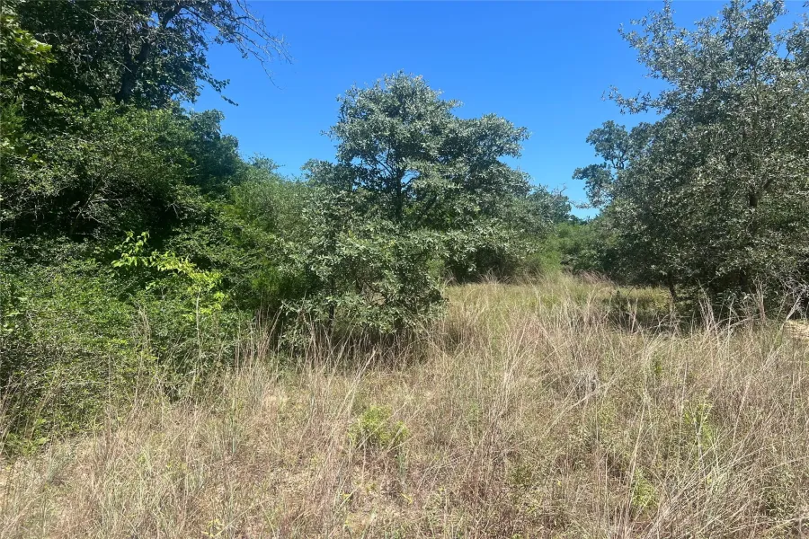 Homes for sale in Normangee - Leon - Texas USA | house for sale Normangee - Leon - Texas USA | Normangee - Leon - Texas USA Real estate services | New listings for sale Normangee - Leon - Texas USA | Land for sale in Normangee - Leon - Texas USA | Real Estate Agent in Normangee - Leon - Texas USA | Realtor in Normangee - Leon - Texas USA | Real estate agent in Normangee | What is My Home Value Normangee - Leon - Texas USA | Texas Real Estate Brokerage Independent Realty, Homes and Land in Texas by Luminita Cordes Realtor