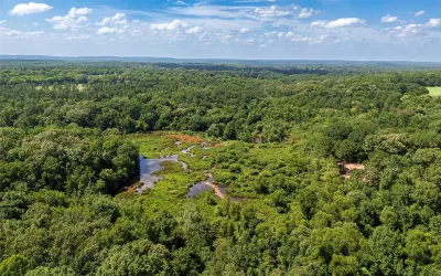 Homes for sale in Cushing - Nacogdoches - Texas USA | house for sale Cushing - Nacogdoches - Texas USA | Cushing - Nacogdoches - Texas USA Real estate services | New listings for sale Cushing - Nacogdoches - Texas USA | Land for sale in Cushing - Nacogdoches - Texas USA | Real Estate Agent in Cushing - Nacogdoches - Texas USA | Realtor in Cushing - Nacogdoches - Texas USA | Real estate agent in Cushing | What is My Home Value Cushing - Nacogdoches - Texas USA | Texas Real Estate Brokerage Independent Realty, Homes and Land in Texas by Luminita Cordes Realtor