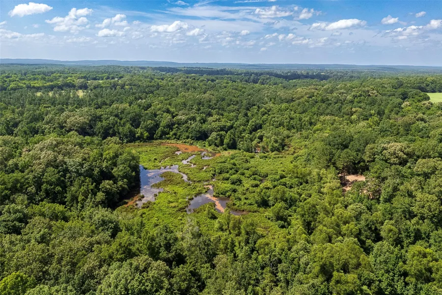 Homes for sale in Cushing - Nacogdoches - Texas USA | house for sale Cushing - Nacogdoches - Texas USA | Cushing - Nacogdoches - Texas USA Real estate services | New listings for sale Cushing - Nacogdoches - Texas USA | Land for sale in Cushing - Nacogdoches - Texas USA | Real Estate Agent in Cushing - Nacogdoches - Texas USA | Realtor in Cushing - Nacogdoches - Texas USA | Real estate agent in Cushing | What is My Home Value Cushing - Nacogdoches - Texas USA | Texas Real Estate Brokerage Independent Realty, Homes and Land in Texas by Luminita Cordes Realtor